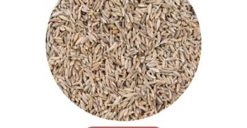 Jeeragam 250g