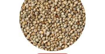 Kambu 500g