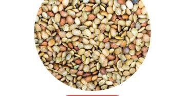 Kollu 500g