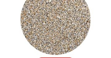 Kuthiraivali Rice 1kg