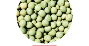 Pachai Pattani 500g