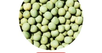 Pachai Pattani 500g