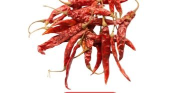 Sigappu Milagai 500g
