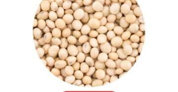 Soya Beans 200g