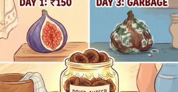 Fresh Athipalam vs Dry Anjeer Which is Better for Your Health